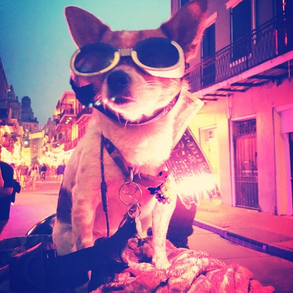 👽 5/$20 SALE NOW 👽 - Picture 3 of 7